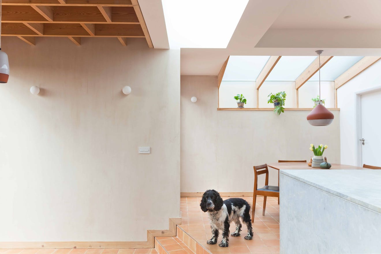 Nimtim-Architects-Modern-House-Extension-Aucoot-Design-Directory