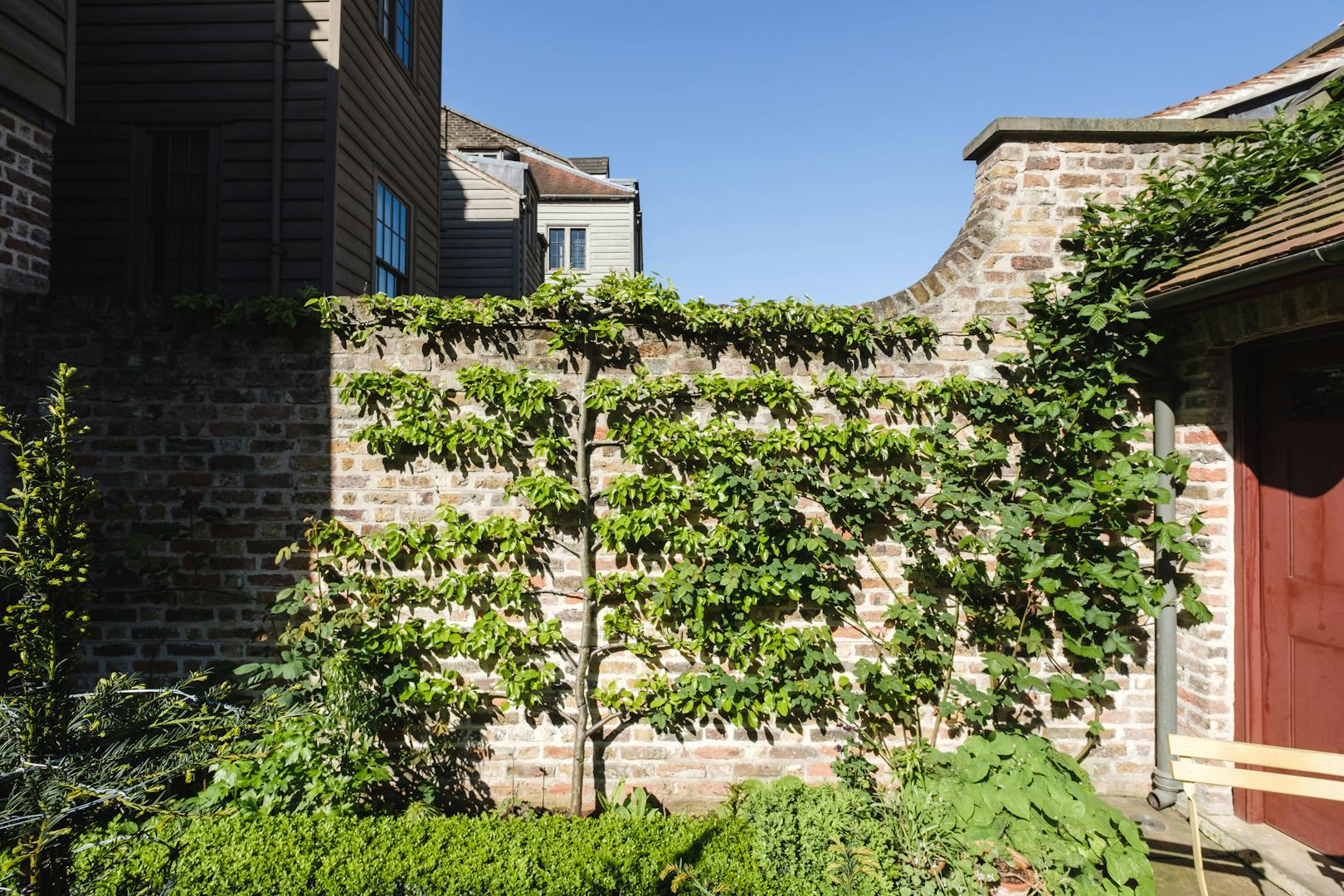 Aucoot - Varden Street - Pedro Da Costa Felguieras - Restored Georgian House - Historic paint pigments