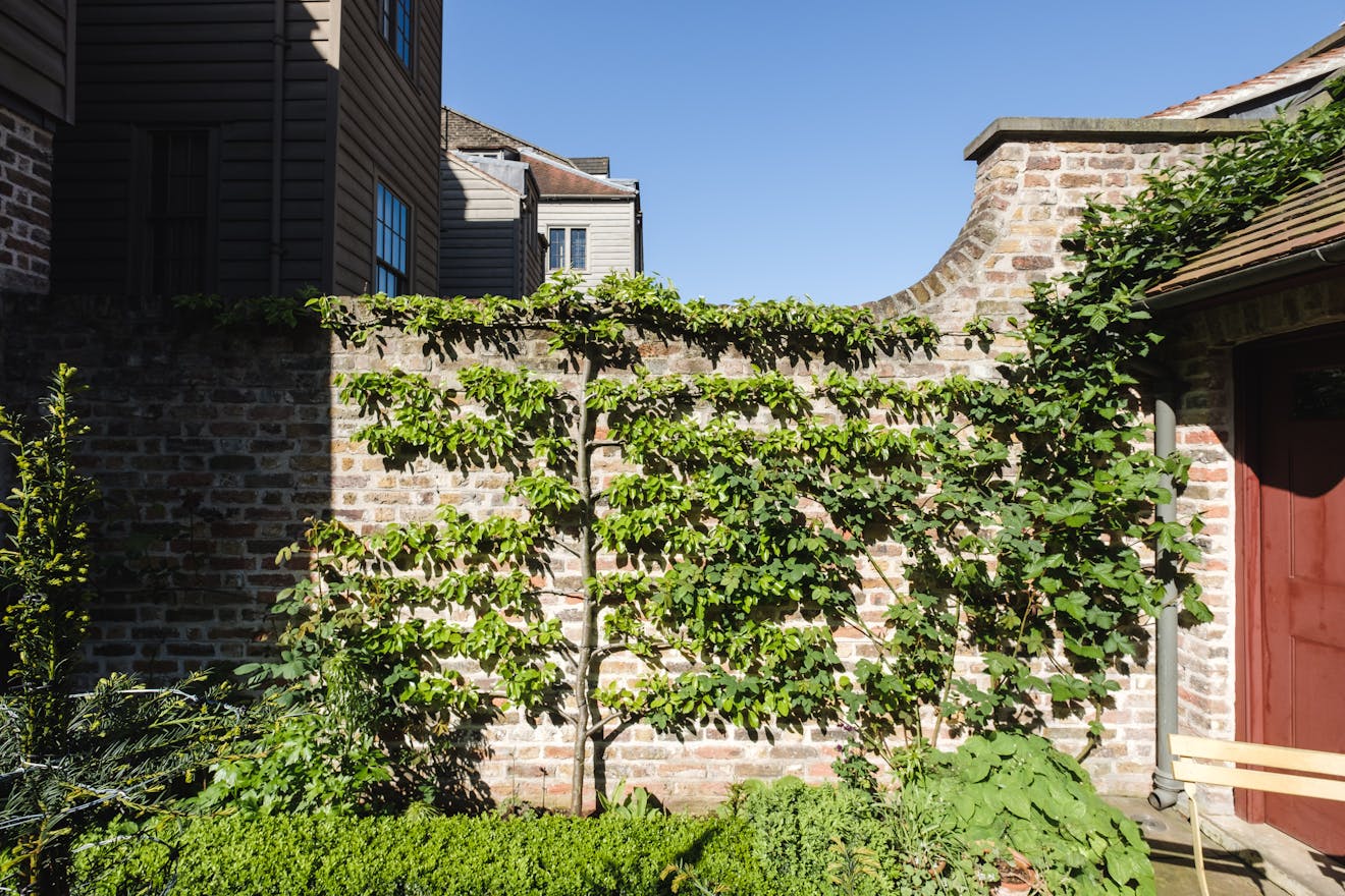 Aucoot - Varden Street - Pedro Da Costa Felguieras - Restored Georgian House - Historic paint pigments