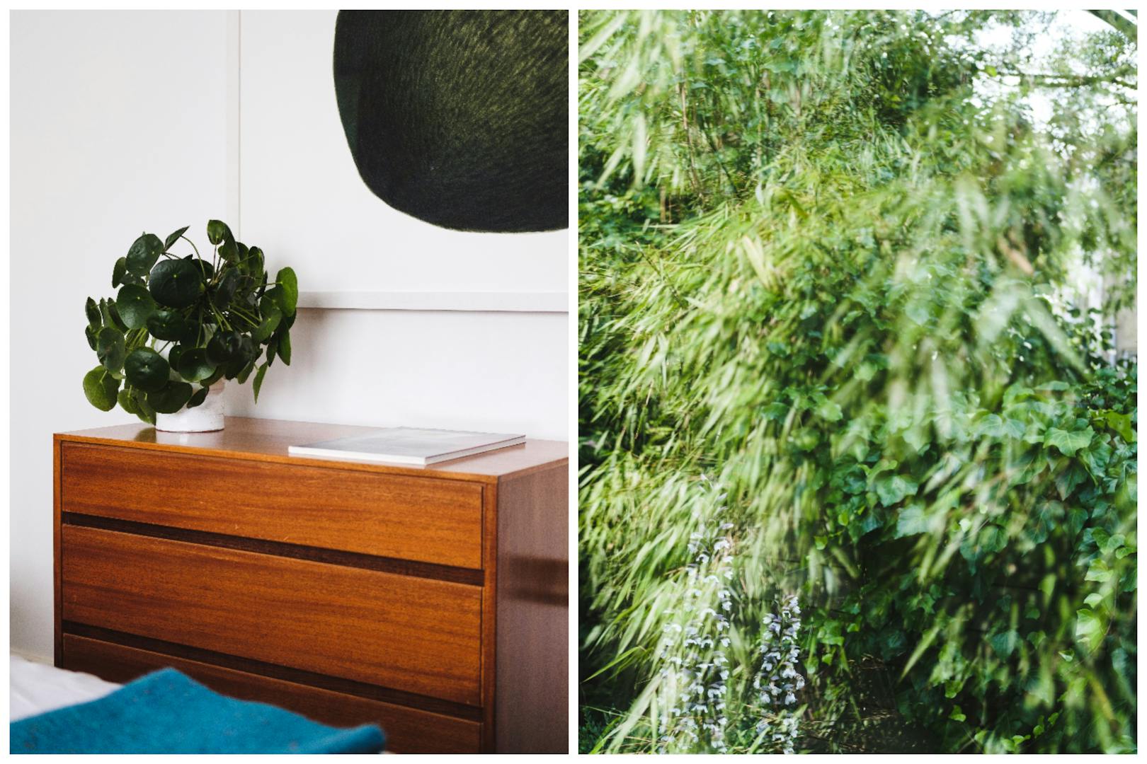 Aucoot - Dagmar Terrace - Uncommon Projects - A modern house in Islington