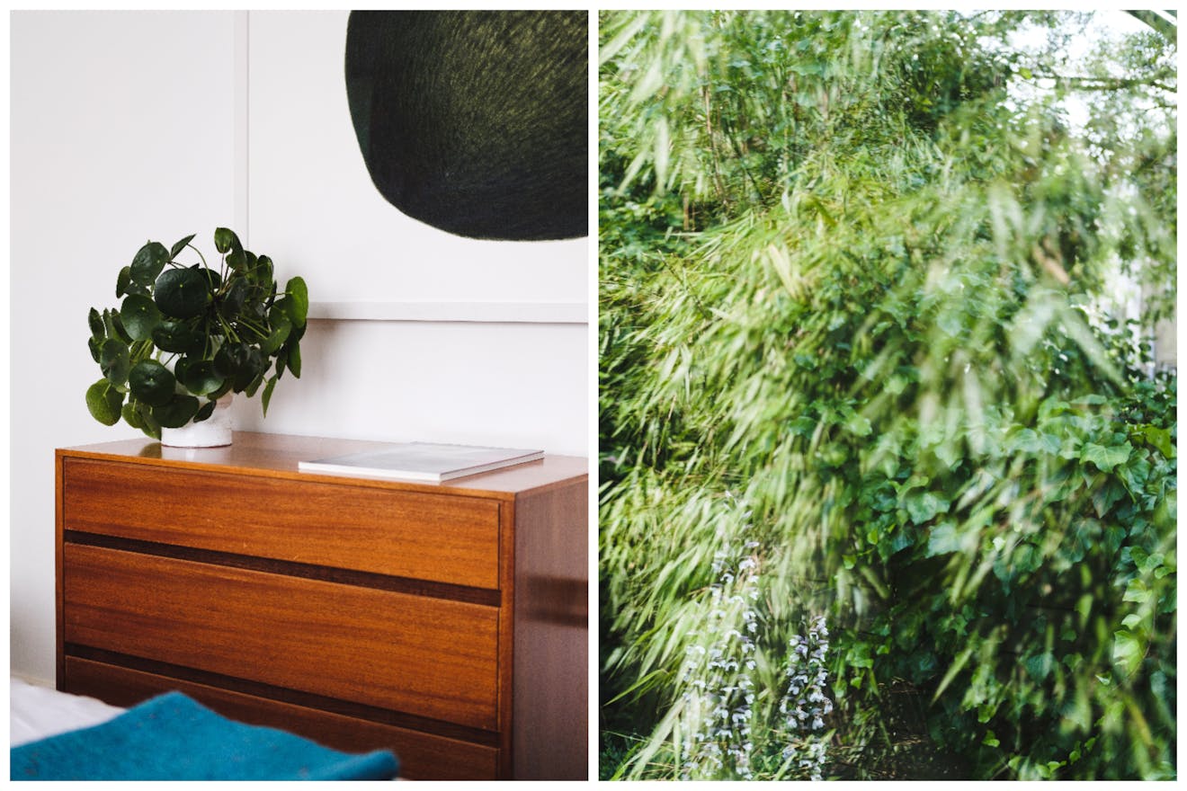 Aucoot - Dagmar Terrace - Uncommon Projects - A modern house in Islington