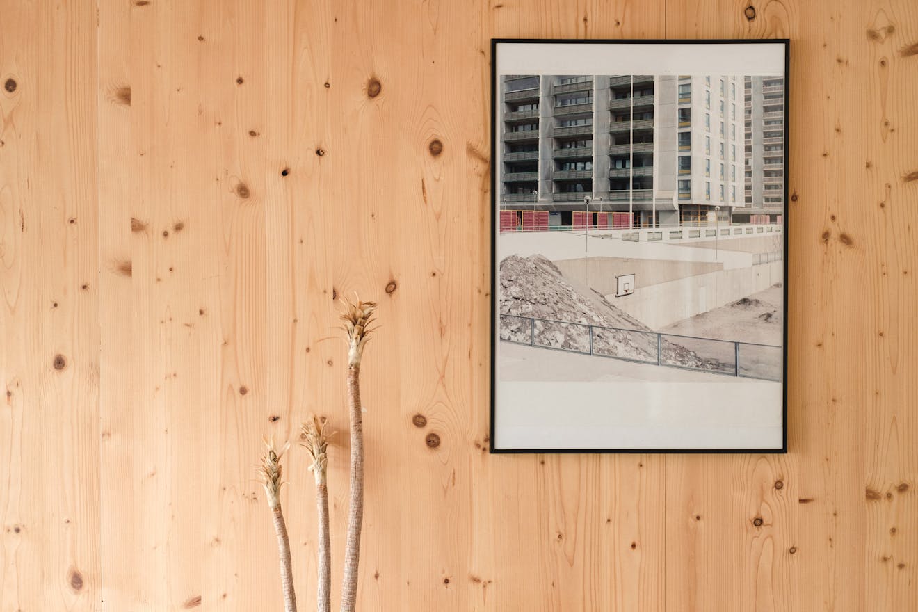 Aucoot-Kay-Road-Modern-House-by-Methodic-Practice-Case-Study- Colin-Smith