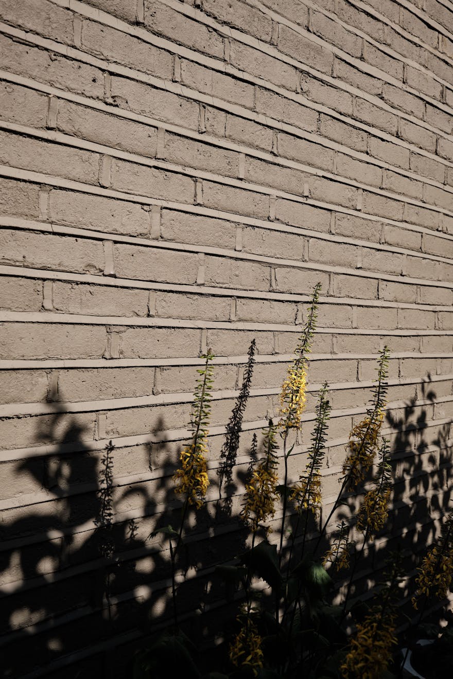 Sandringham-Road-Aucoot-Victorian-house-modern-refurbishment