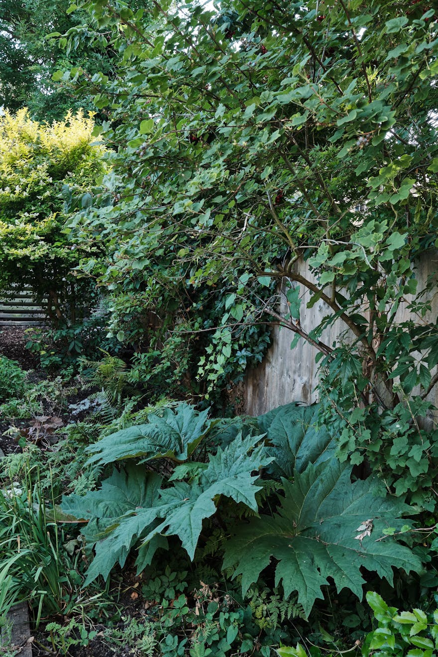 Sandringham-Road-Aucoot-Victorian-house-modern-refurbishment