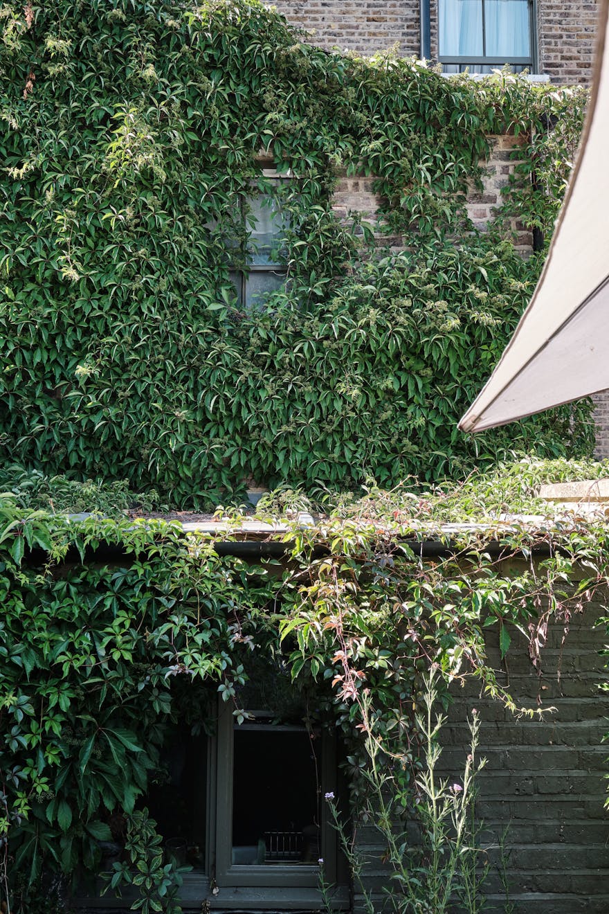 Sandringham-Road-Aucoot-Victorian-house-modern-refurbishment