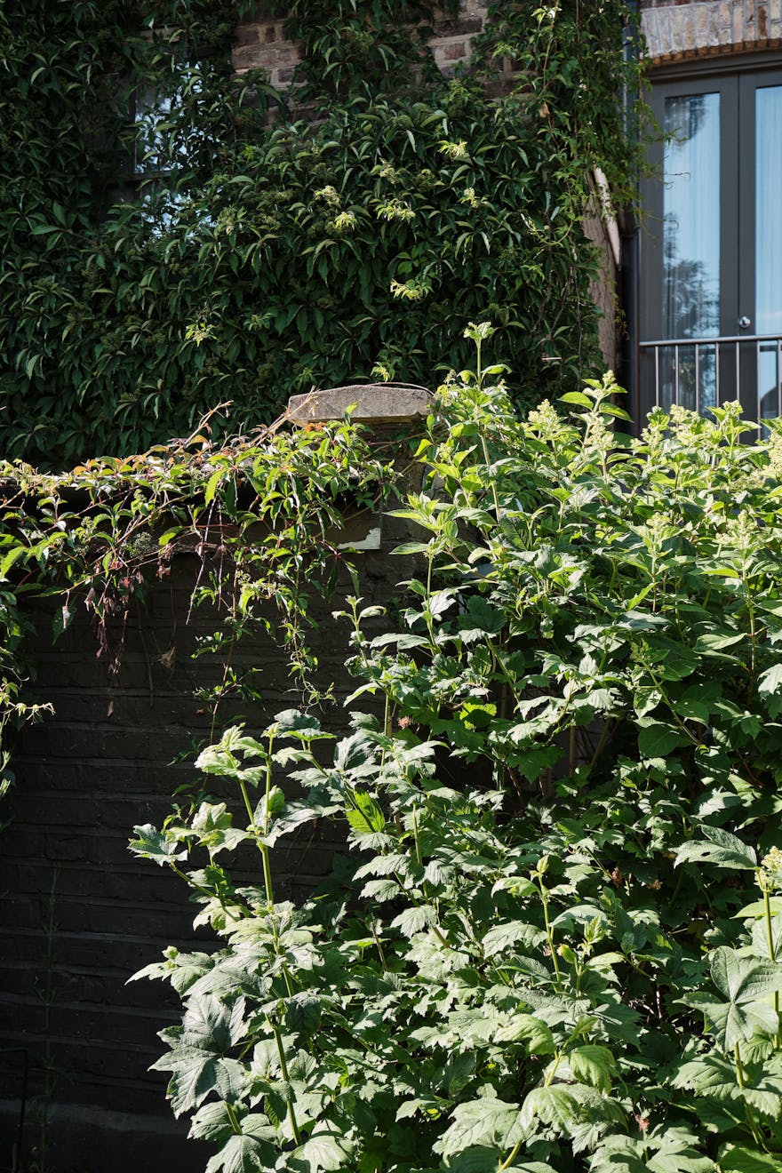 Sandringham-Road-Aucoot-Victorian-house-modern-refurbishment