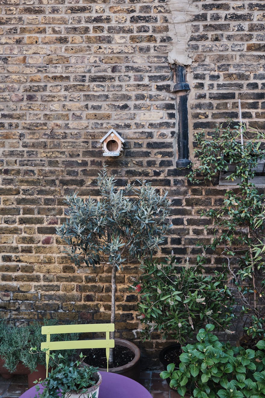 Columbia Road garden