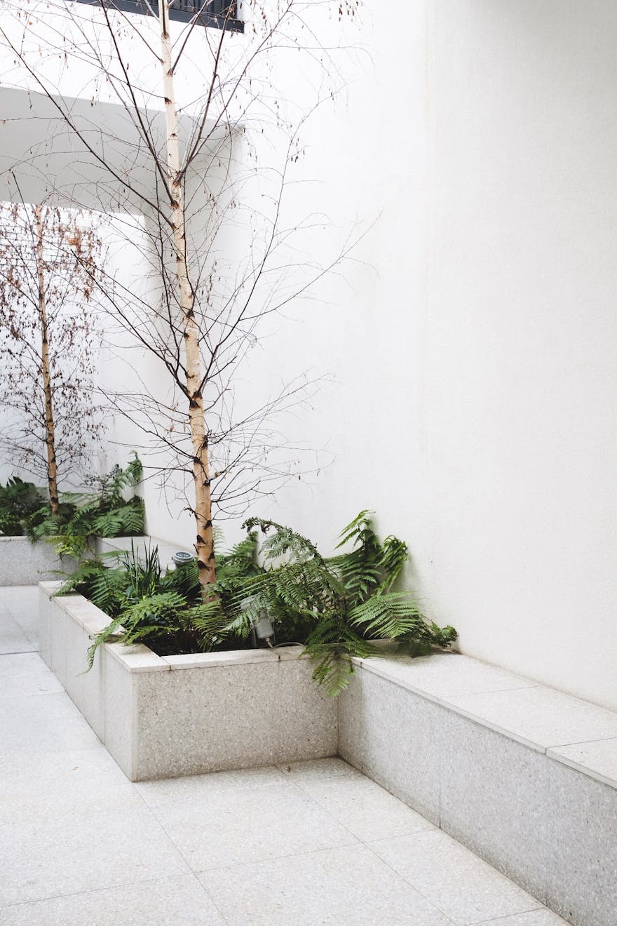 Aucoot-Chance-Street-and-Redchurch-Street-vPPR-Architects