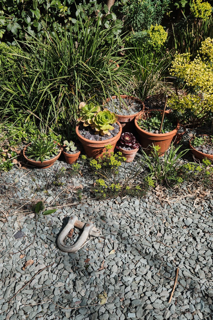 Spruce-Hills-Rd-Aucoot-DeDraft-Architects-House-for-sale-Walthamstow