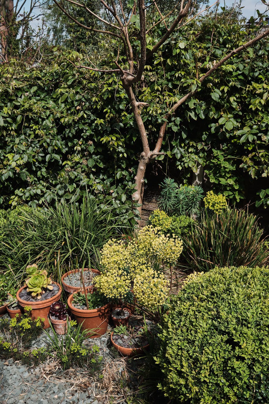 Spruce-Hills-Rd-Aucoot-DeDraft-Architects-House-for-sale-Walthamstow